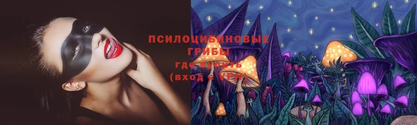 СК Нея
