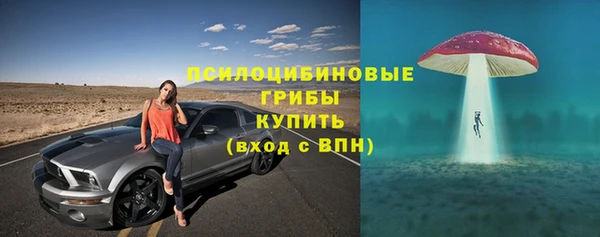 СК Нея