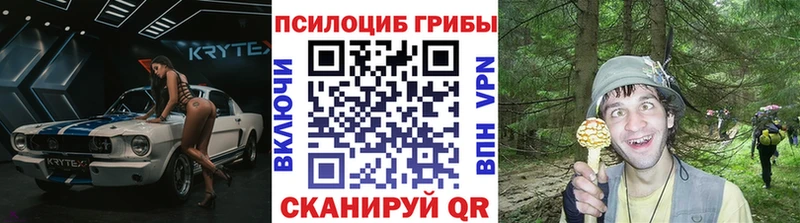 Псилоцибиновые грибы Psilocybe  цена наркотик  Курганинск 