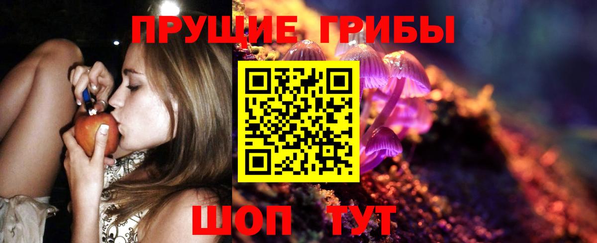 Галлюциногенные грибы Cubensis Курганинск