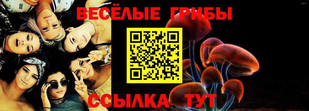 Курганинск  Галлюциногенные грибы ЛСД  Вход с VPN 