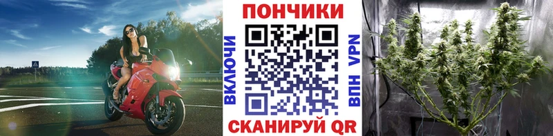 МАРИХУАНА THC 21% omg сайт Курганинск